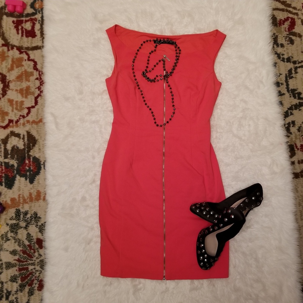 Zara Trafaluc Dress